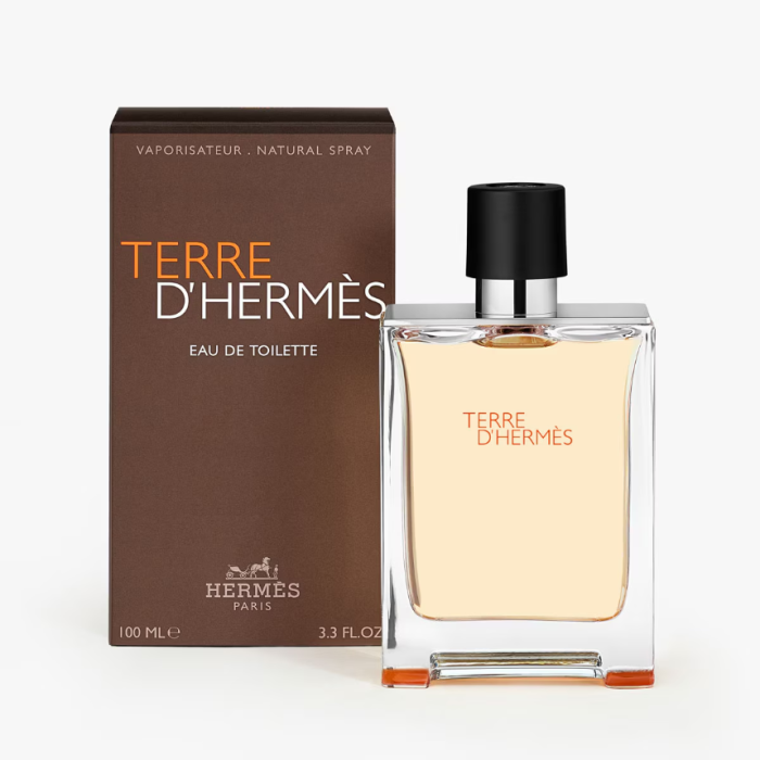 Hermès Terre d'Hermès Eau de Toilette 100ml - Image 2