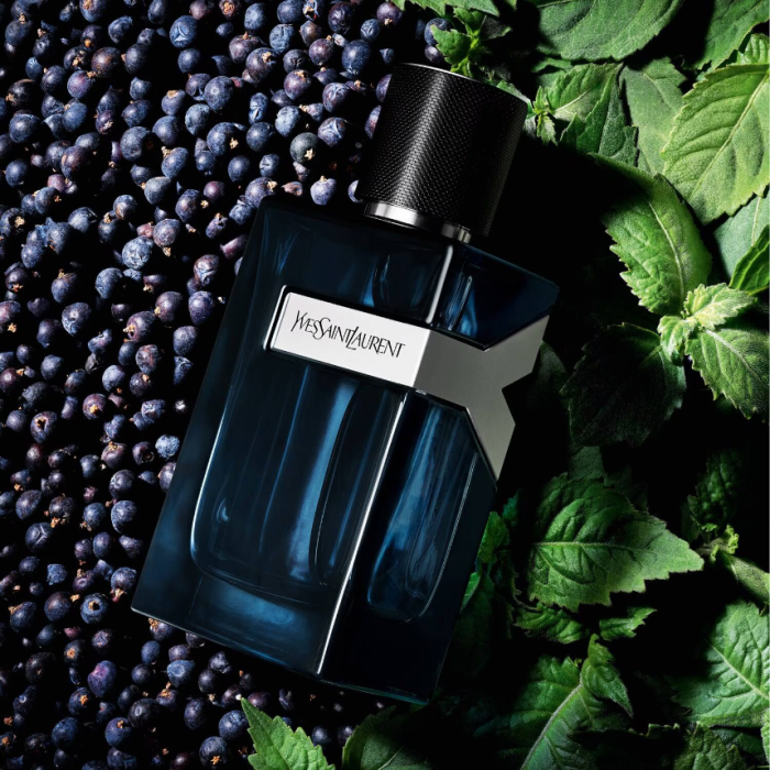 YVES SAINT LAURENT Y Eau de Parfum Intense 60ml - Image 3